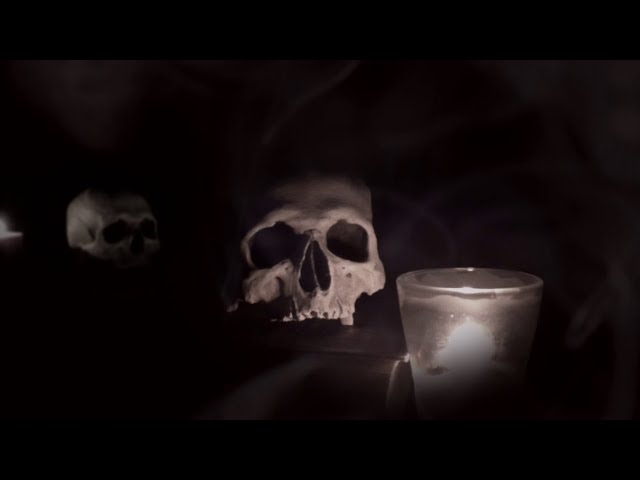 Skull Candle Black & White