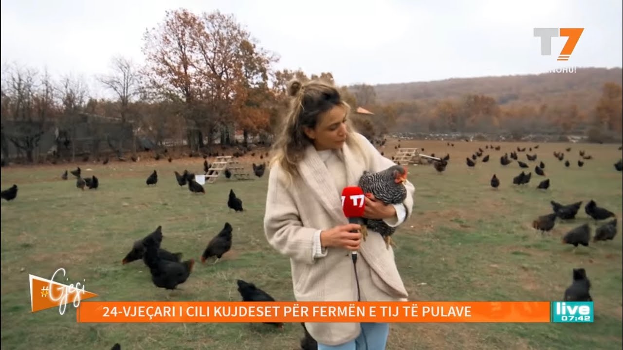 24-vjeçari që mban 3500 pula | T7