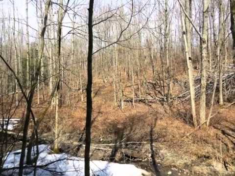 749 Bush Rd, Frankfort, NY home video tour