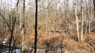 749 Bush Rd video tour
