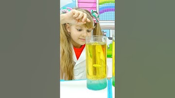 Experiments at Cat School 🎓