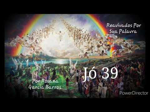Jó 39 RPSP Comentário Rosana Barros