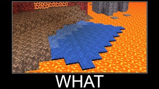 Minecraft WAIT WHAT meme #39