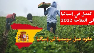 التسجيل في عقود العمل في إسبانيا 2022 ¦ فرص عمل في إسبانيا للنساء