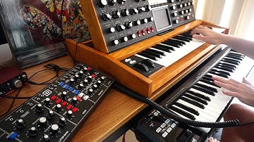 Minimoog Voyager VS Model D - DEMO