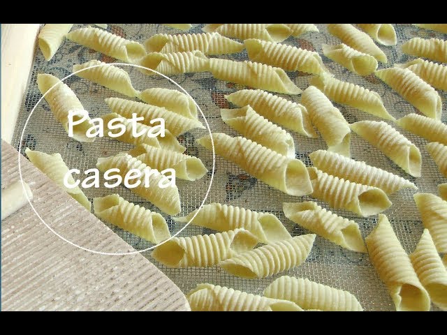 Máquina para Hacer Pasta Fresca Casera