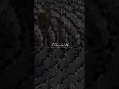 رجال لا تلهيهم تجاره ولا بيع عن ذكر الله عبدالرحمن مسعد سوره النور