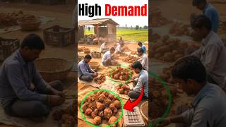 Eelephant yam export I Suran export I Jimikand kaise export kare I rajeevsaini #export #shorts