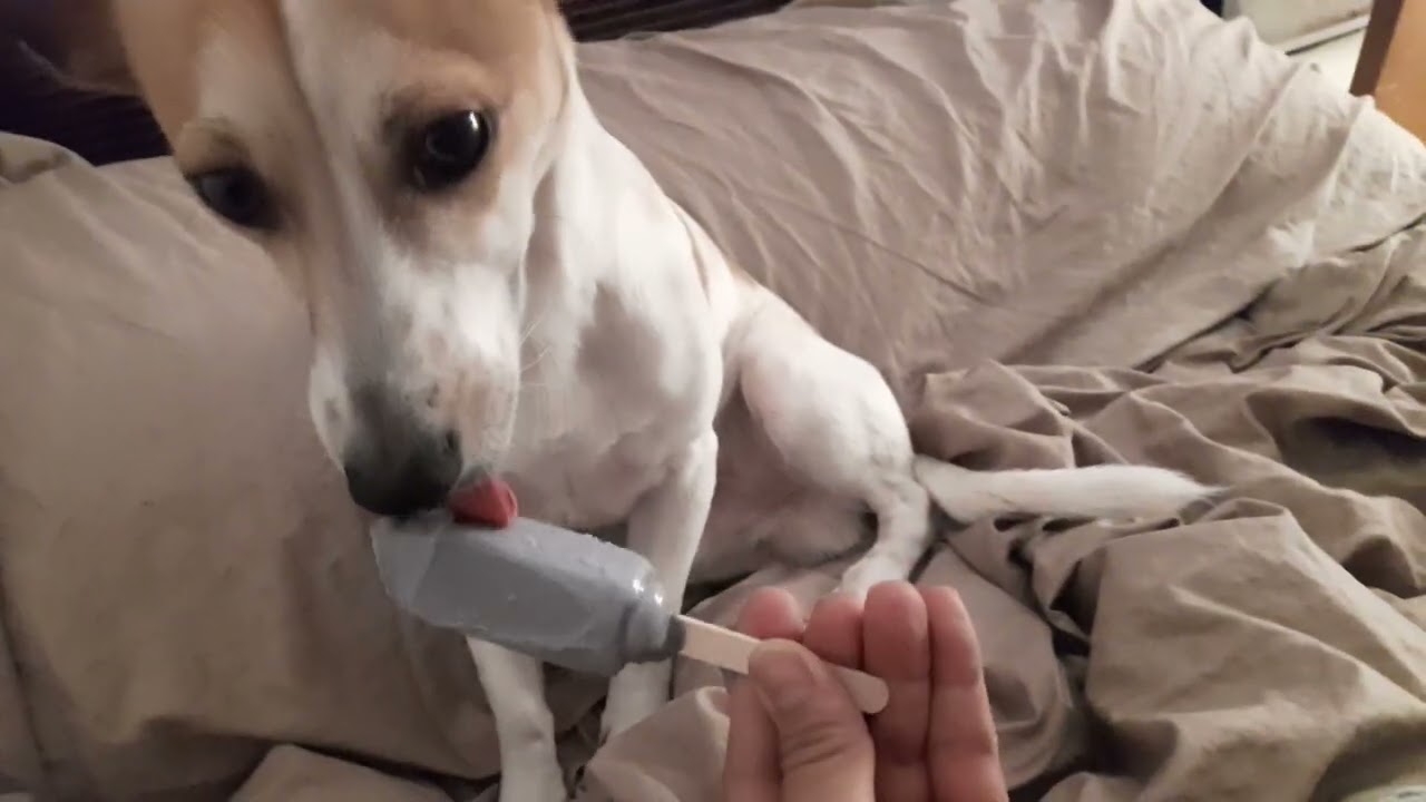 TARO MELONA "SO GOOOD" YouTube