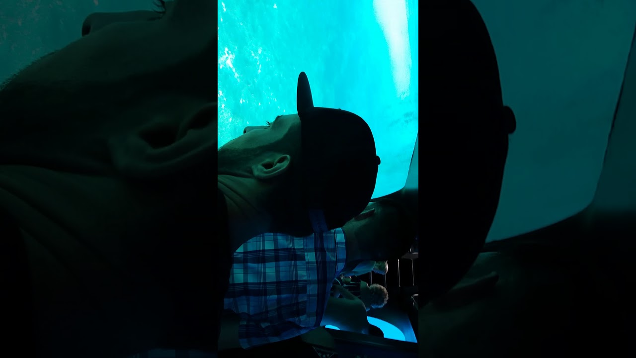 boat trip to benidorm island