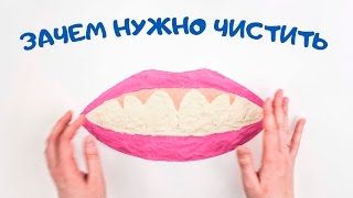 Зачем нужно чистить зубы? - мультфильм от студии \