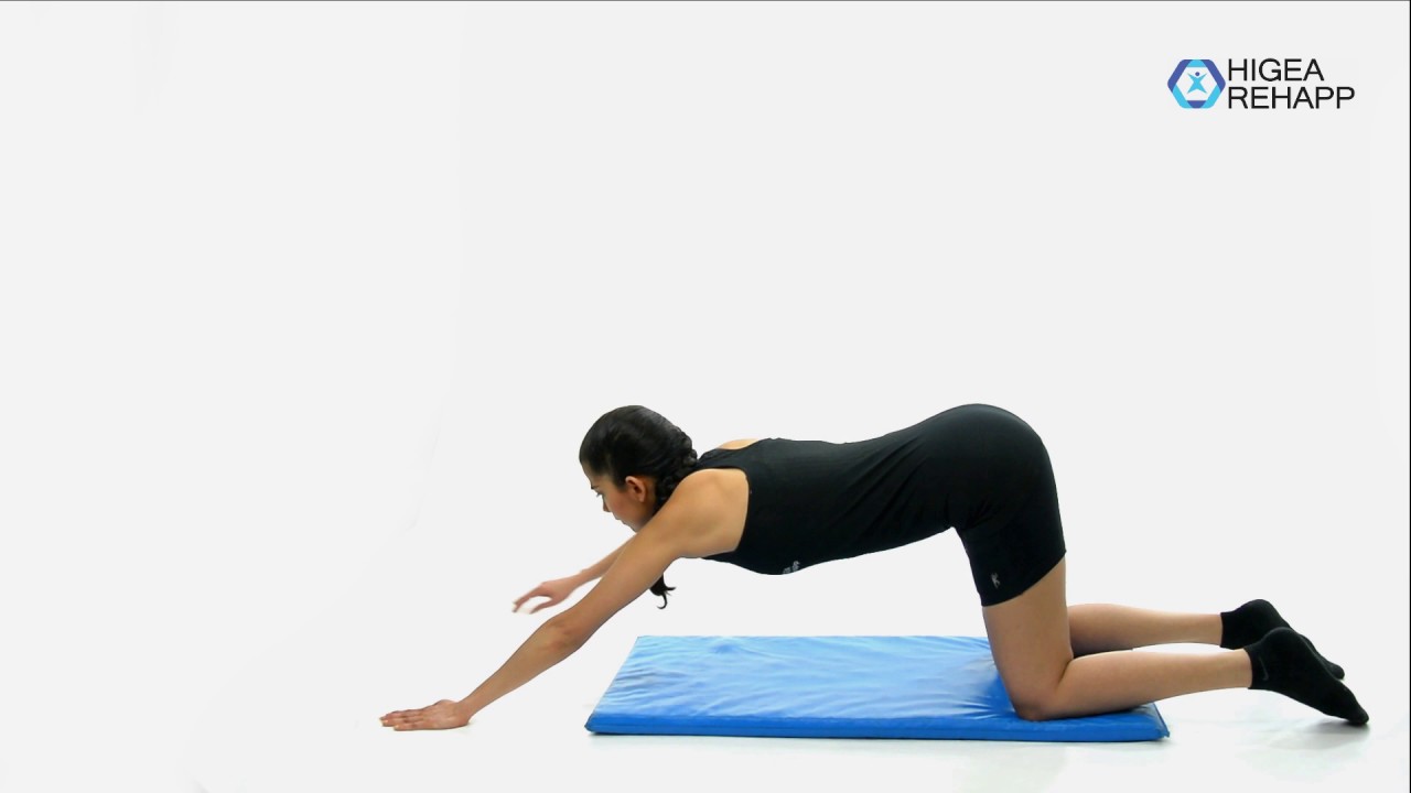 physiotherapy exercises Estiramiento de lumbares