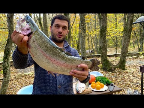 Vídeo: Com Fregir El Salmó Chum