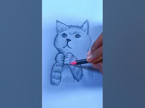 Cat Drawing Easy - Step by step Pencil Sketch for beginners || How to ...