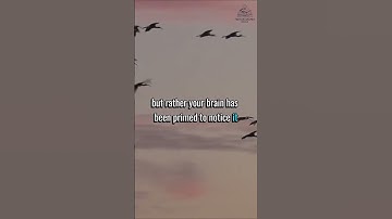 Suddenly seeing things everywhere? You need to watch this! 👀 #shorts #facts #funfacts