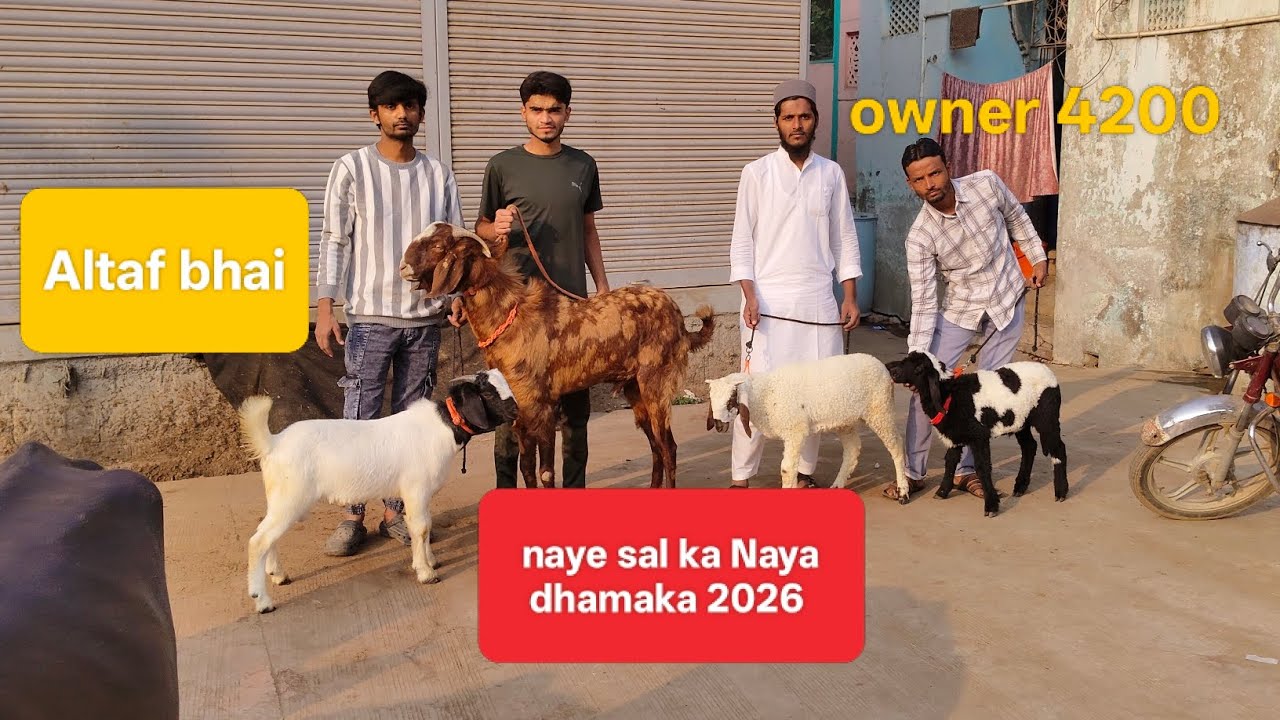 Altaf bhai owner 4200 