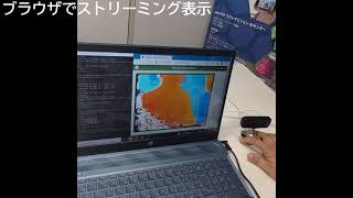 cam2web demo