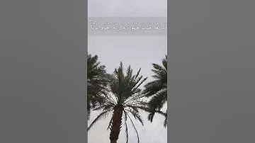 عبد الرحمن السديس {وَاصْبِرْ نَفْسَكَ مَعَ الَّذِينَ يَدْعُونَ رَبَّهُم..}    سورة الكهف