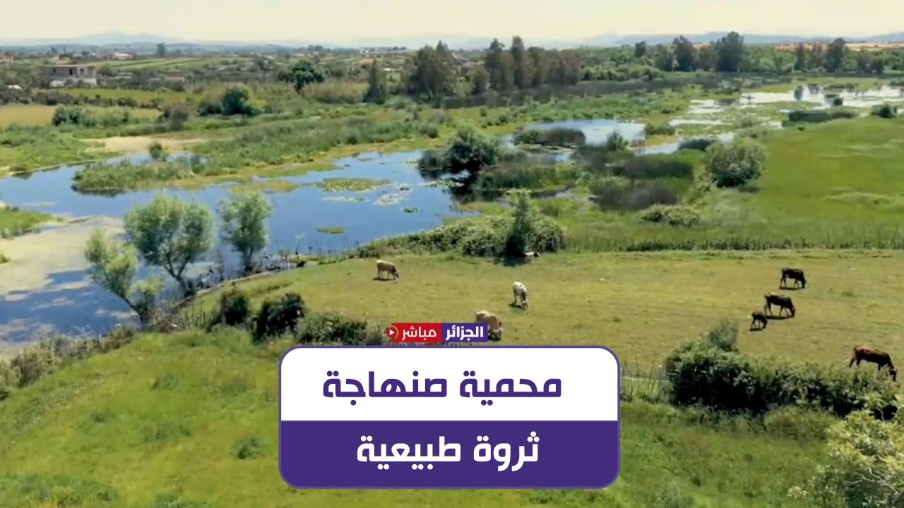 سكيكدة: محمية صنهاجة قرباز.. ثروة طبيعية تحتضن تنوعًا بيولوجيًا نادرًا في الجزائر