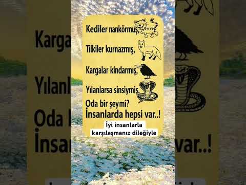 İnsanlarda Hepsi Var… | Düşündüren Hayat Gerçeği