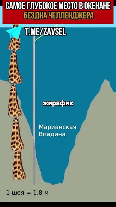 самая глубокая точка поверхности Земли «Бездна Челленджера» - YouTube