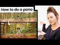 Panoramic Photography Quiz