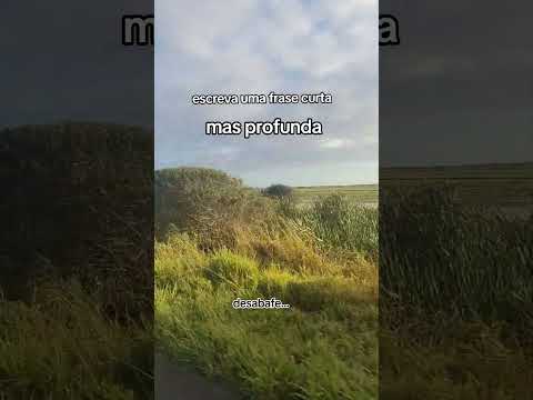 comente... #comentarios #curtidas #desabafo #furyou #reels #funnyvideos #explorar