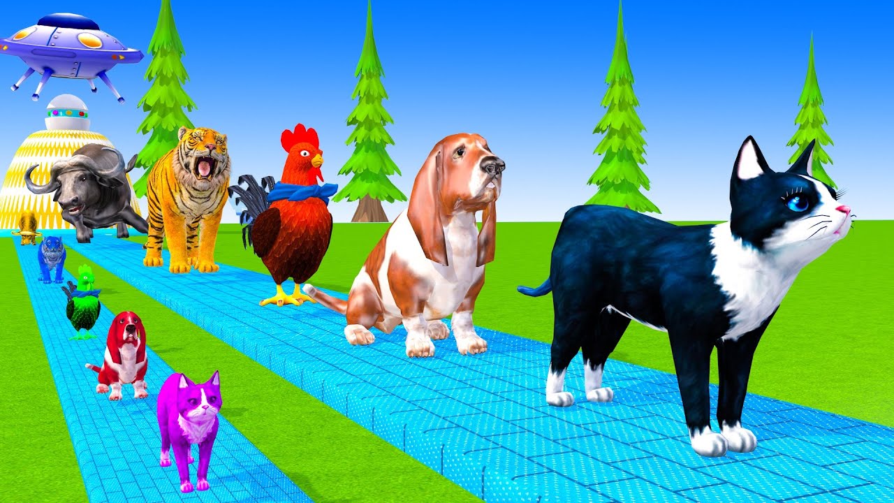 Long Slide Game With Cow Elephant Gorilla Hippopotamus Tiger 3d Animal Game Funny 3d Animals