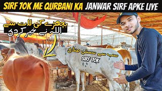 Lyari Bakra Cow Mandi Rates Updates 😲 | Sab se Sasti Mandi 🐂 | Cow Mandi 2024 | Cattle Express