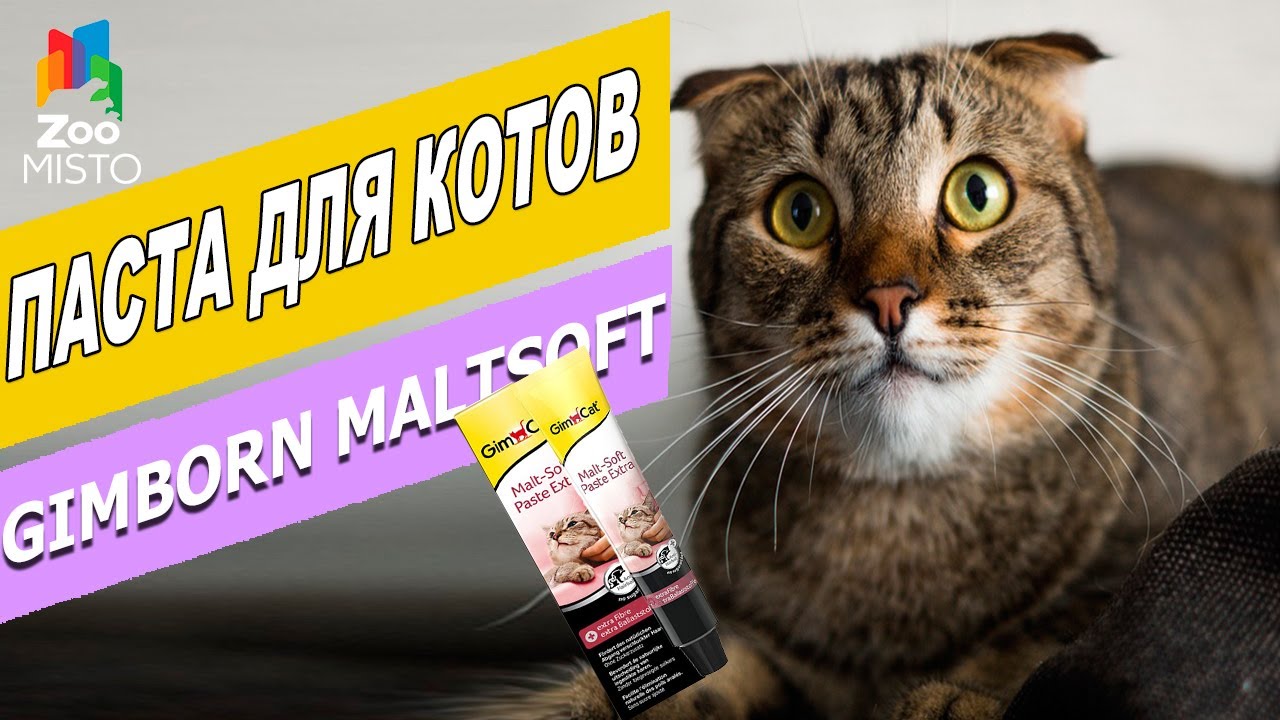 Пищевая паста для котов Мальтсофт | Обзор пищевой пасты Maltsoft | Gimborn Paste for cat - review