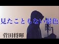【フル歌詞付き】 見たこともない景色 (au CM 「応援」篇) - 菅田将暉 (monogataru cover)
