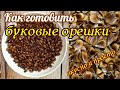 Как готовить буковые орешки. Вкусно и просто!