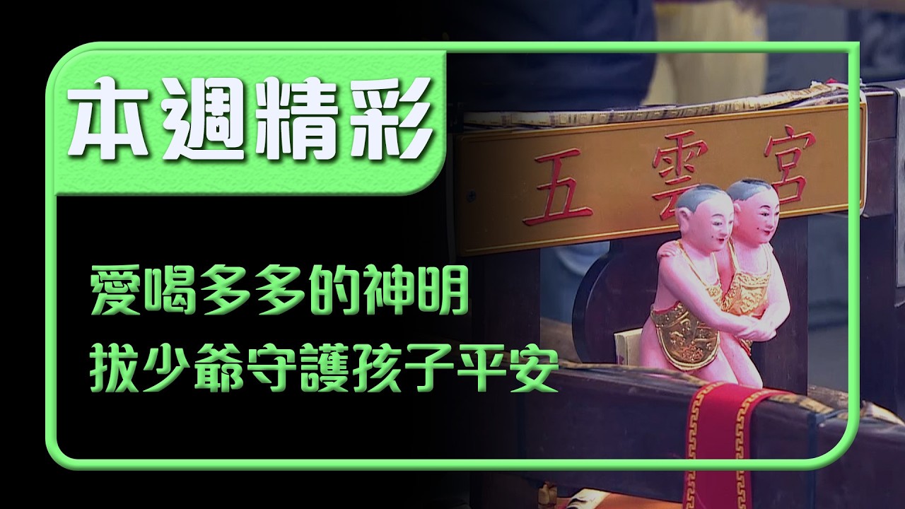 愛喝多多的雙胞胎神明？！白沙屯五雲宮「拔少爺」專守護孩子平安｜本週精彩｜寶島神很大