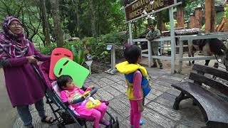 Lost World of Tambum 12112017