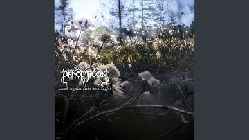 And again into the light