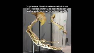 curiosidades sobre o deinocheirus #paleontology #paleontologia #curiosidades #deinocheirus