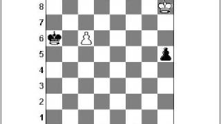 The Most Famous Chess Puzzle