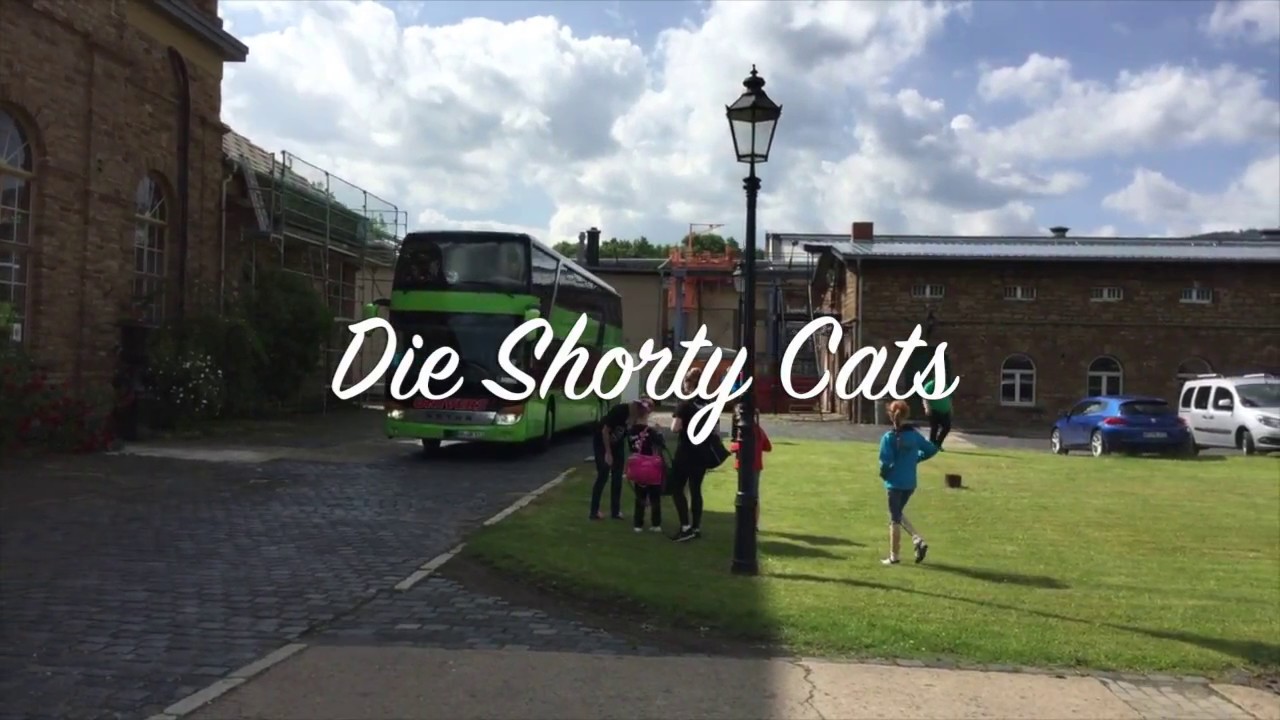 Shorty Cats Harzer Cheeropen 2017 - Cheer Pack