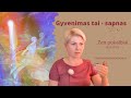 Gyvenimas - tai sapnas. Ištrauka iš Zen pokalbių | Raimonda Martinaitienė