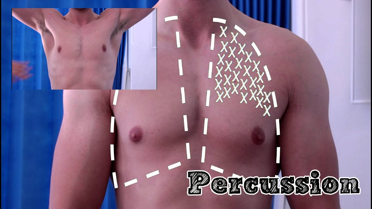 Respiratory Exam - YouTube HippocraTV
