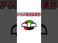 世界一高齢化が進んでいない国と世界一高齢化が進んでいる国#ポーランドボール #shorts