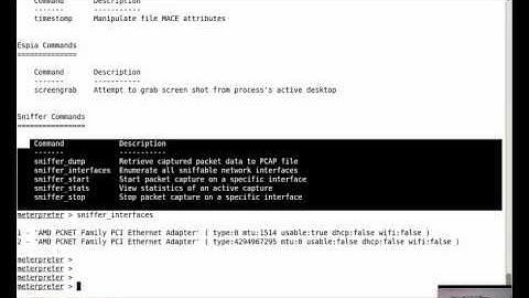 SecurityTube Metasploit Framework Expert Part 10