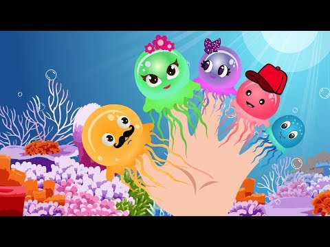 The Best JellyFish Finger Family Collection For Kids | Finger Family Songs | Children's Cartoon TV