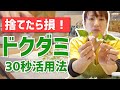 【ドクダミ活用術】たった30秒！どくだみチンキで効果抜群の防虫スプレーや化粧水を！【ハーブチンキの作り方】