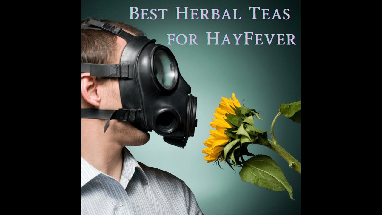 Best Herbal Teas for Hay Fever YouTube