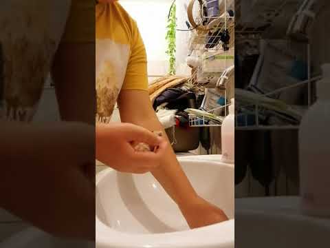 Videó: Hogyan Kell Megfürödni A Hörcsögöt