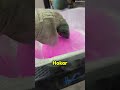 Balloon in liquid nitrogen