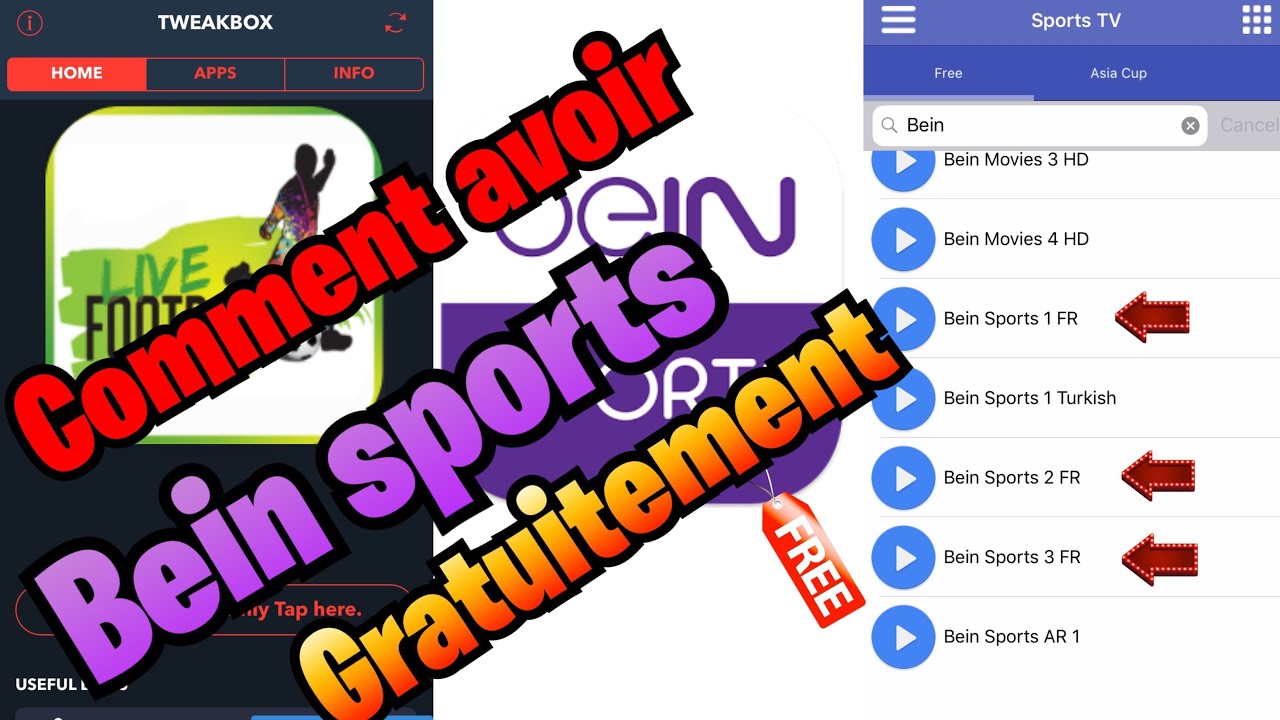 Comment Faire Pour Avoir Bein Sports Tout Seul