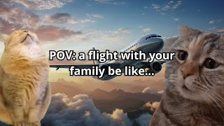 Family vacations: the flight