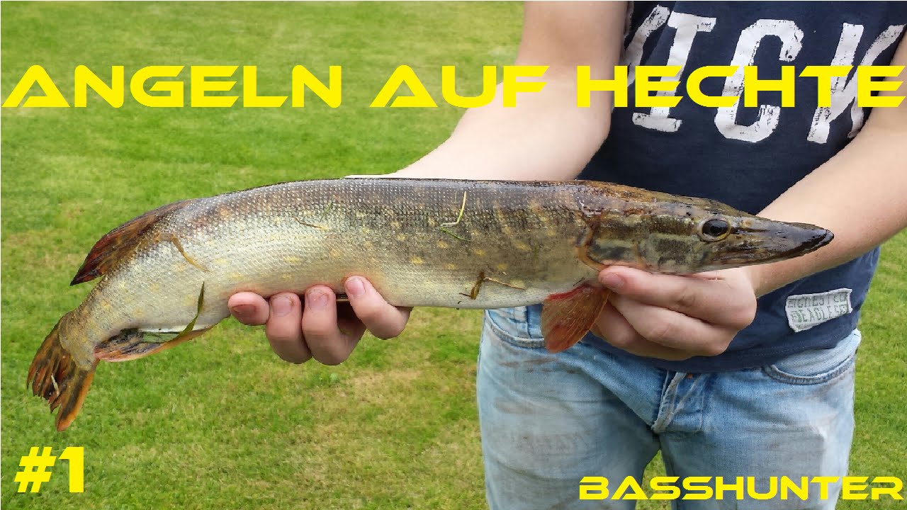 Angeln auf Hechte || Kunstköder am Fluss